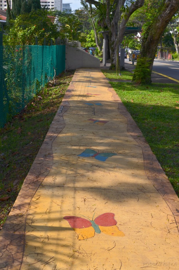 Singapur, okolice Pandan Valley, motyle na chodnikach