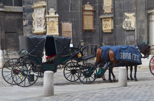 Austria, Wiedeń, przed katedrą Św. Szczepana - koń kryty Gore-Texem nie moknie!