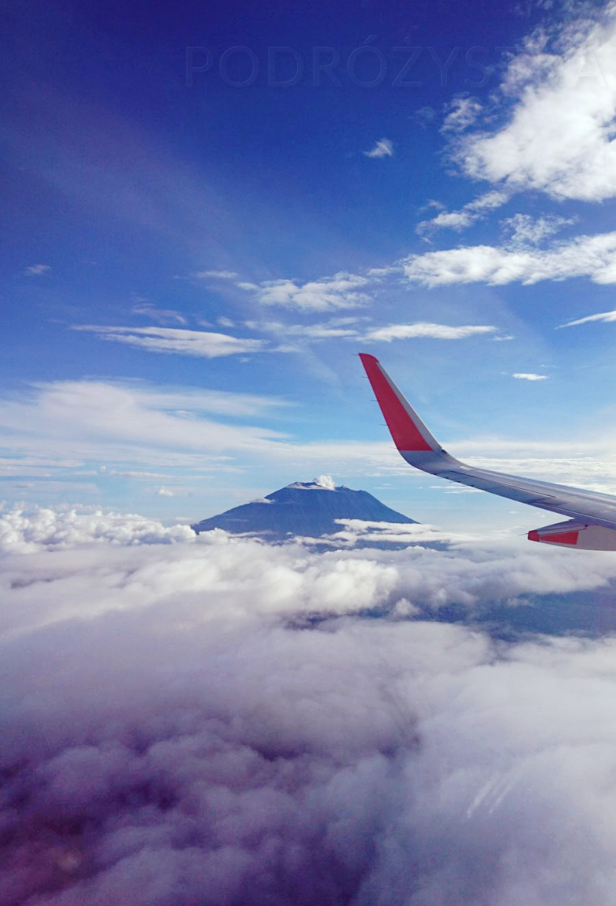 Flores_I_02_50_size_watermark