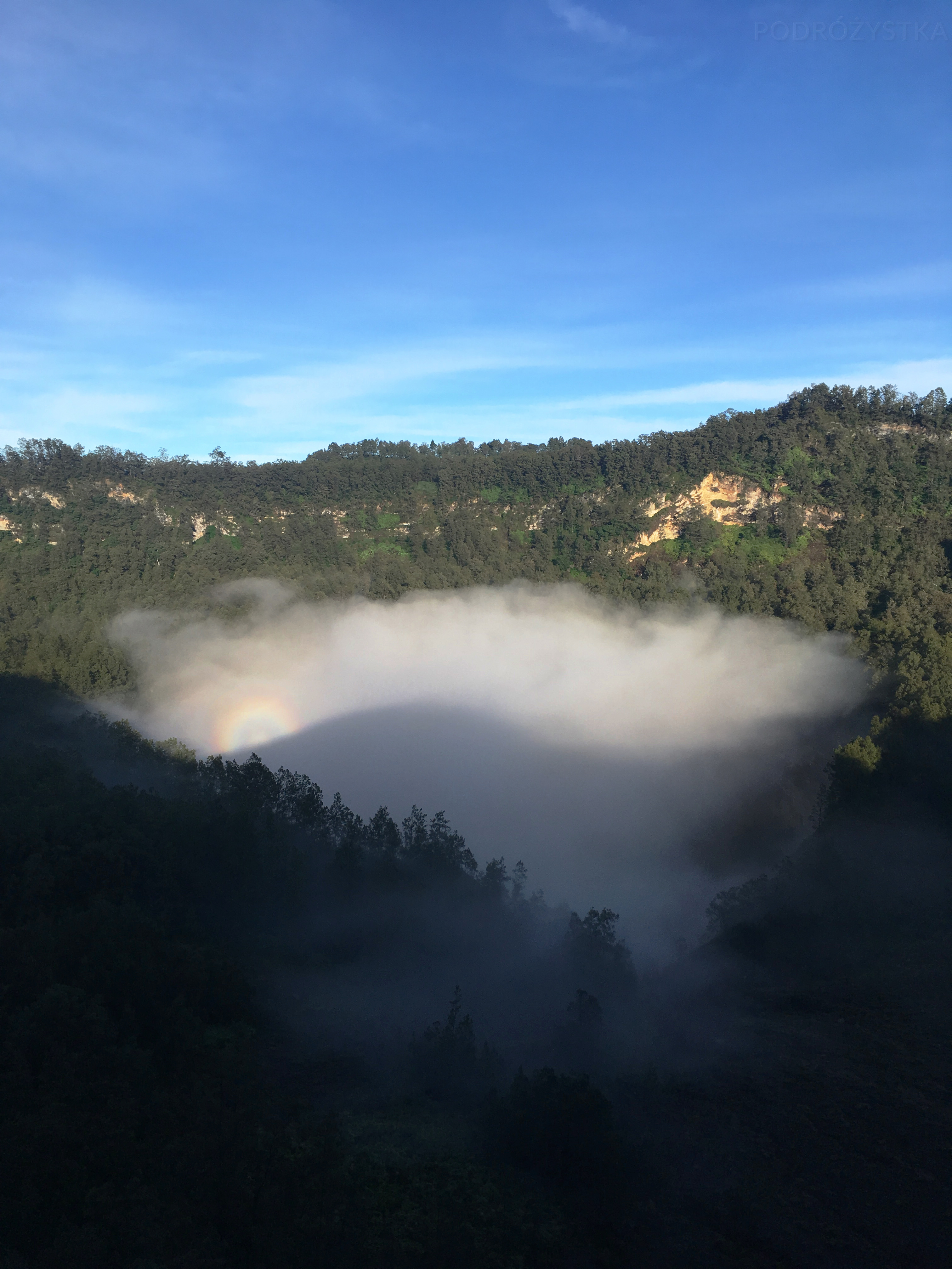 Flores_I_13_50_size_watermark