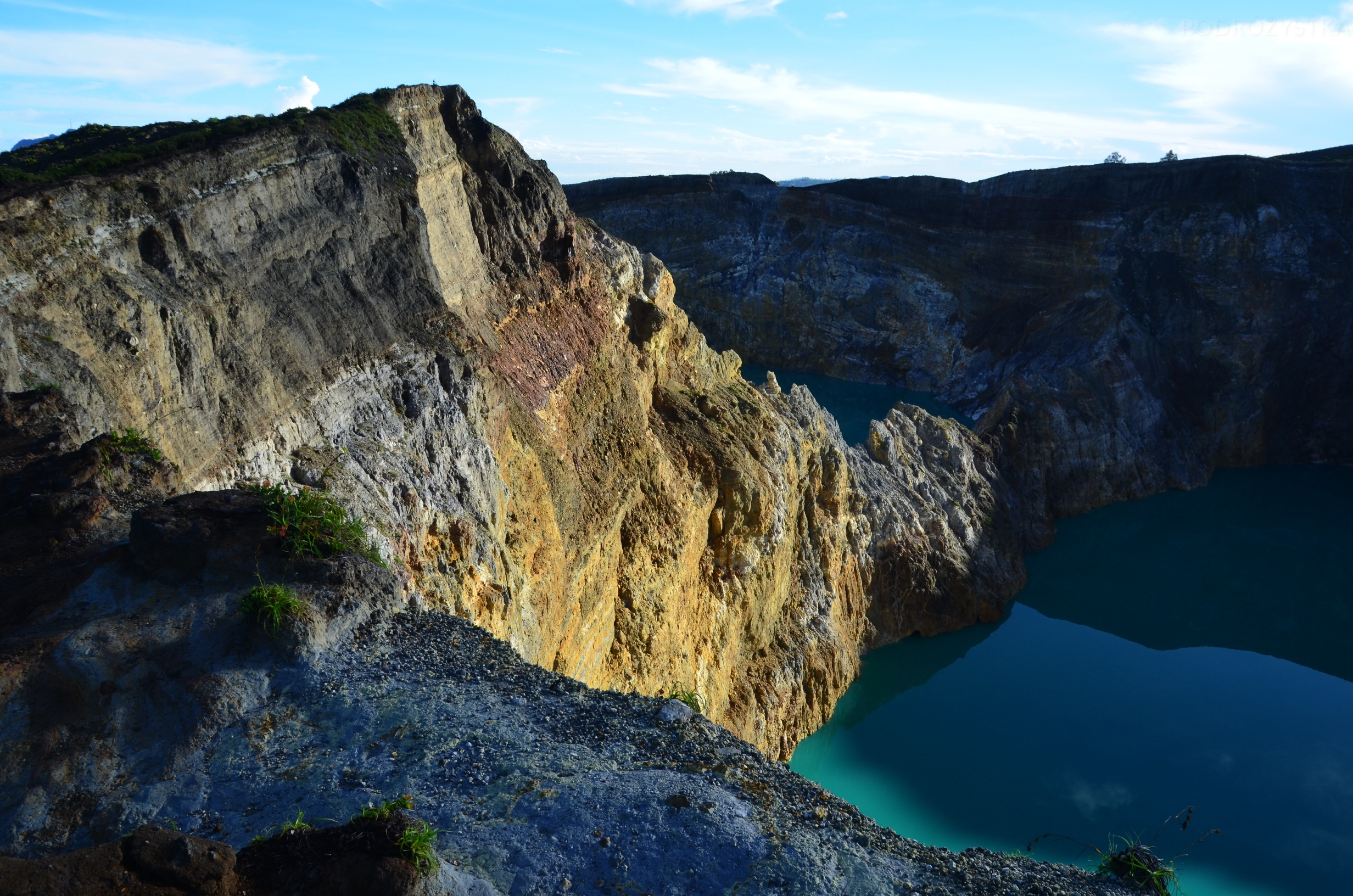 Flores_I_14_50_size_watermark