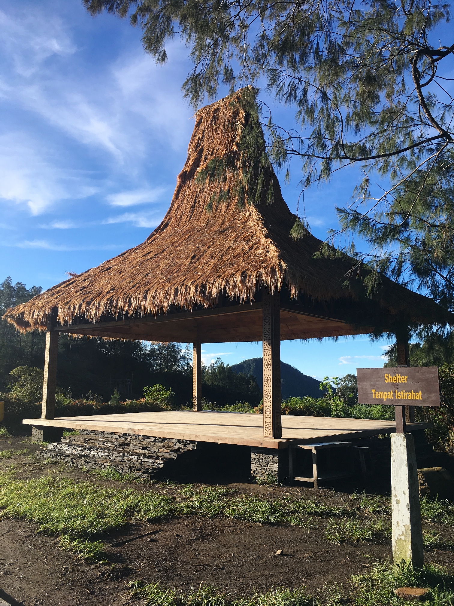 Flores_I_16_50_size_watermark