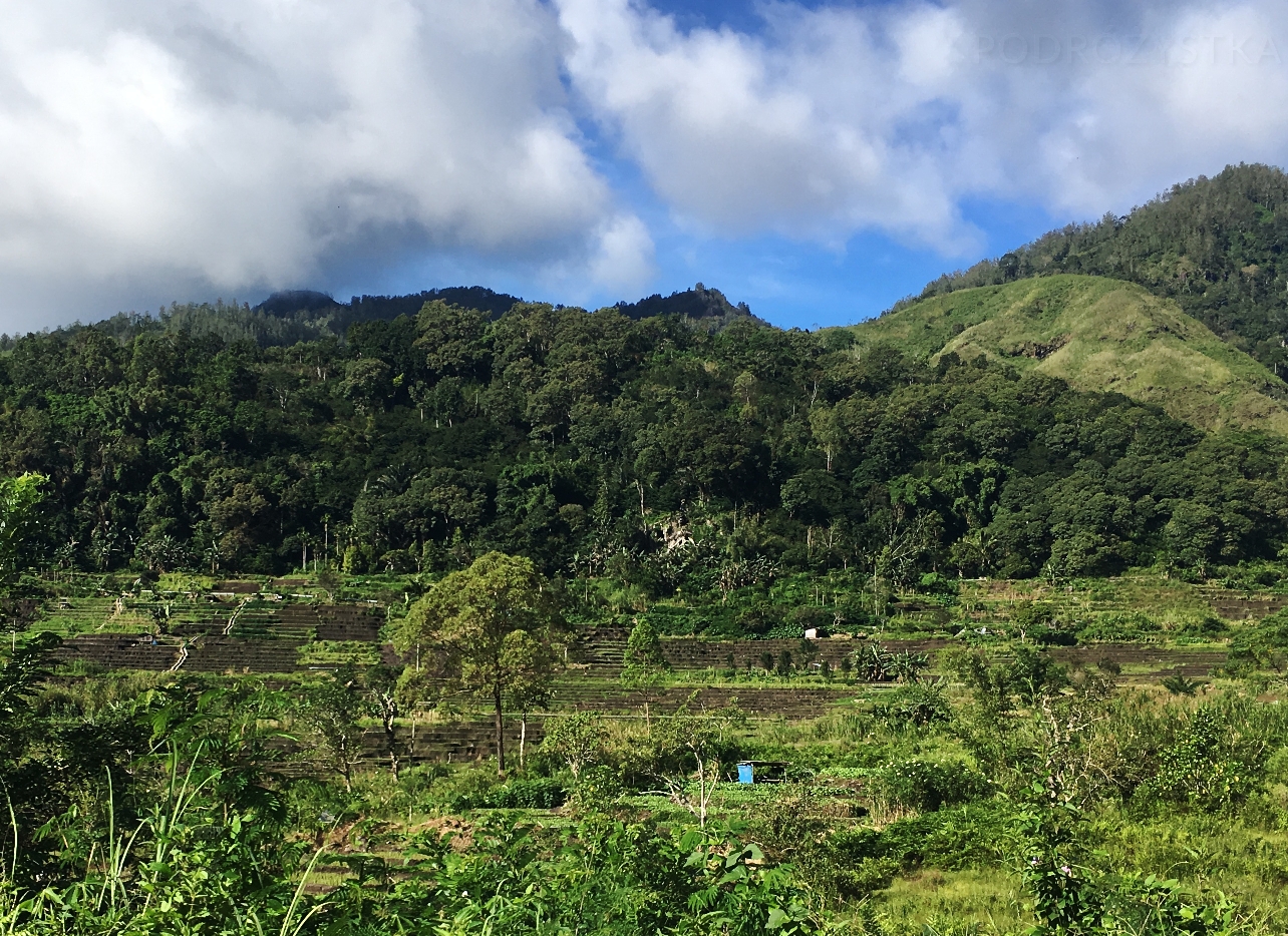 Flores_I_17_50_size_watermark