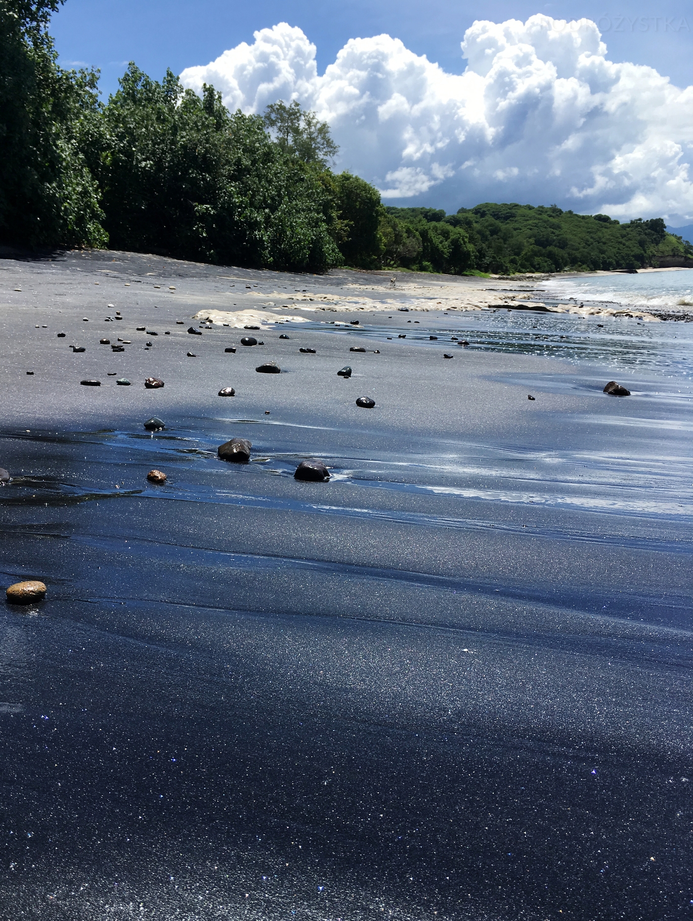 Flores_I_19_50_size_watermark