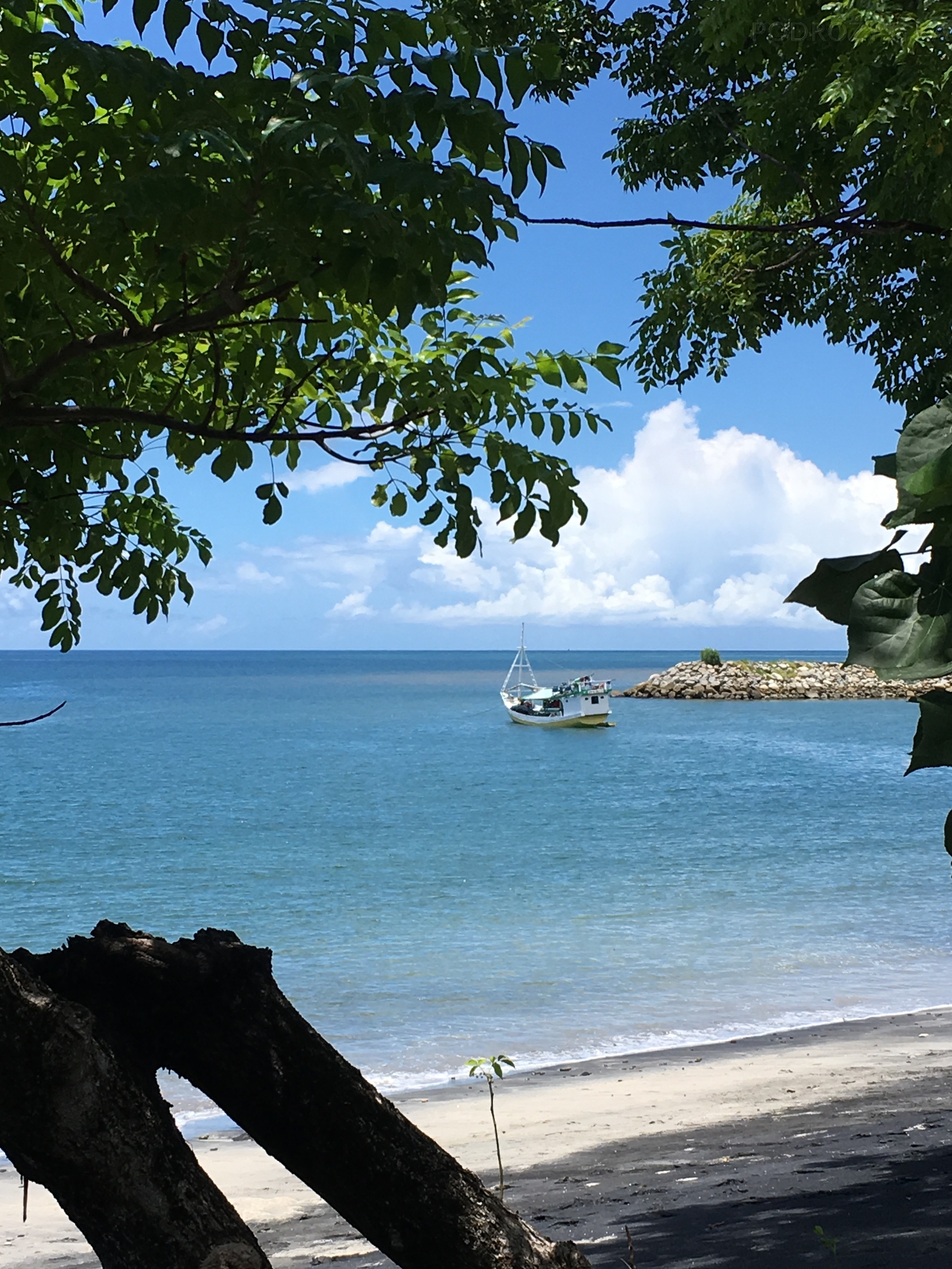 Flores_I_20_50_size_watermark