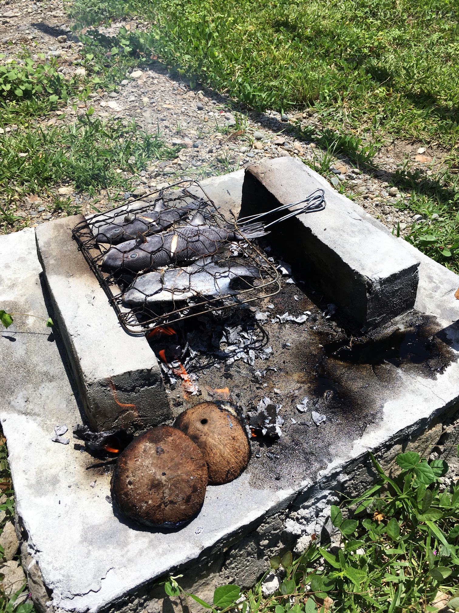 Flores_I_22_50_size_watermark