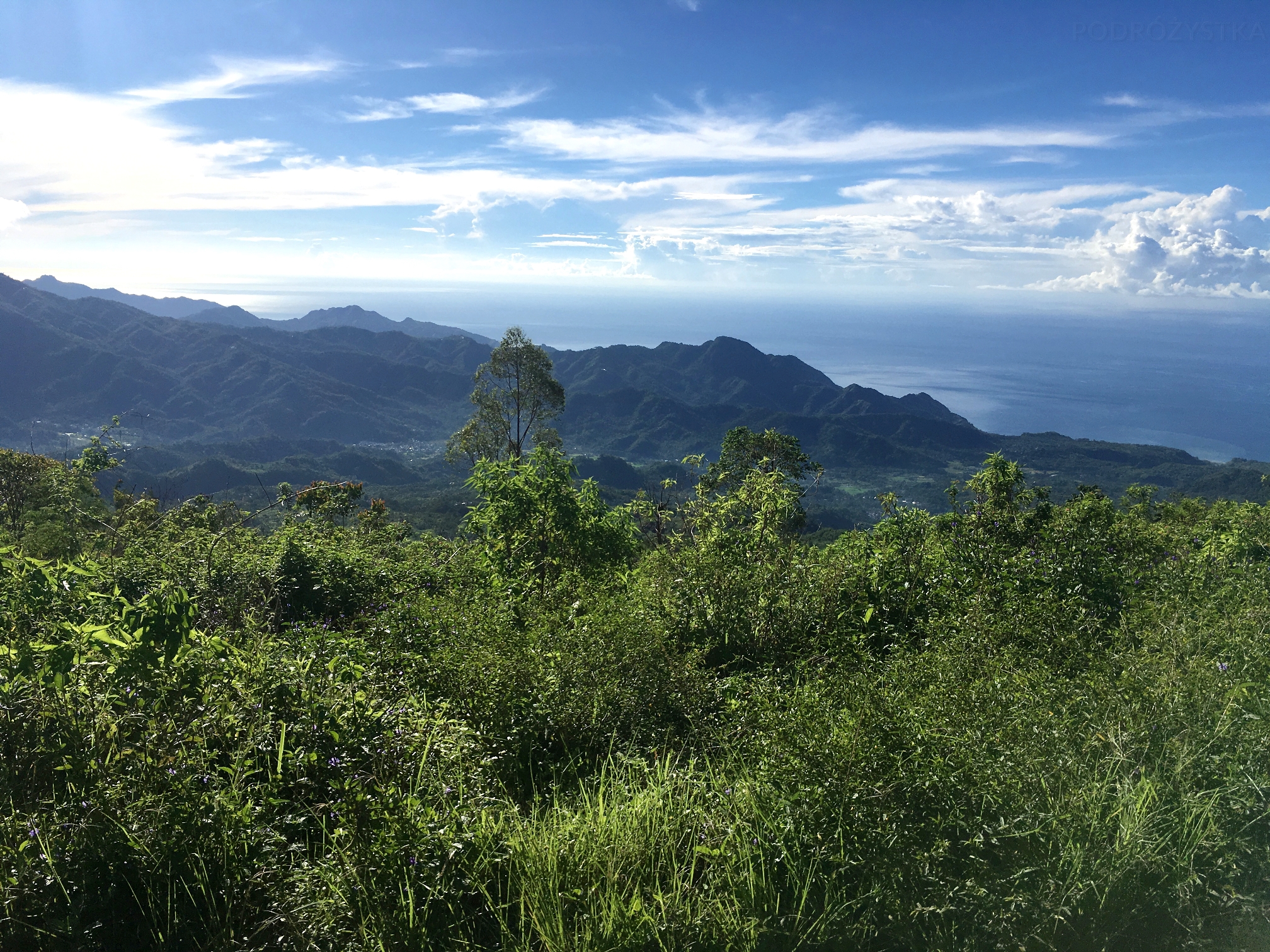 Flores_I_24_50_size_watermark