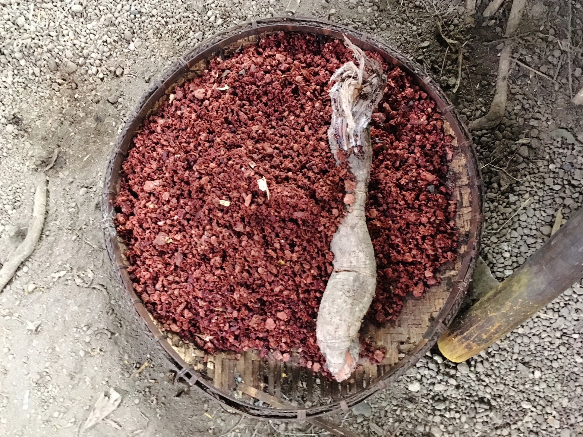 Flores_II_05_50_size_watermark