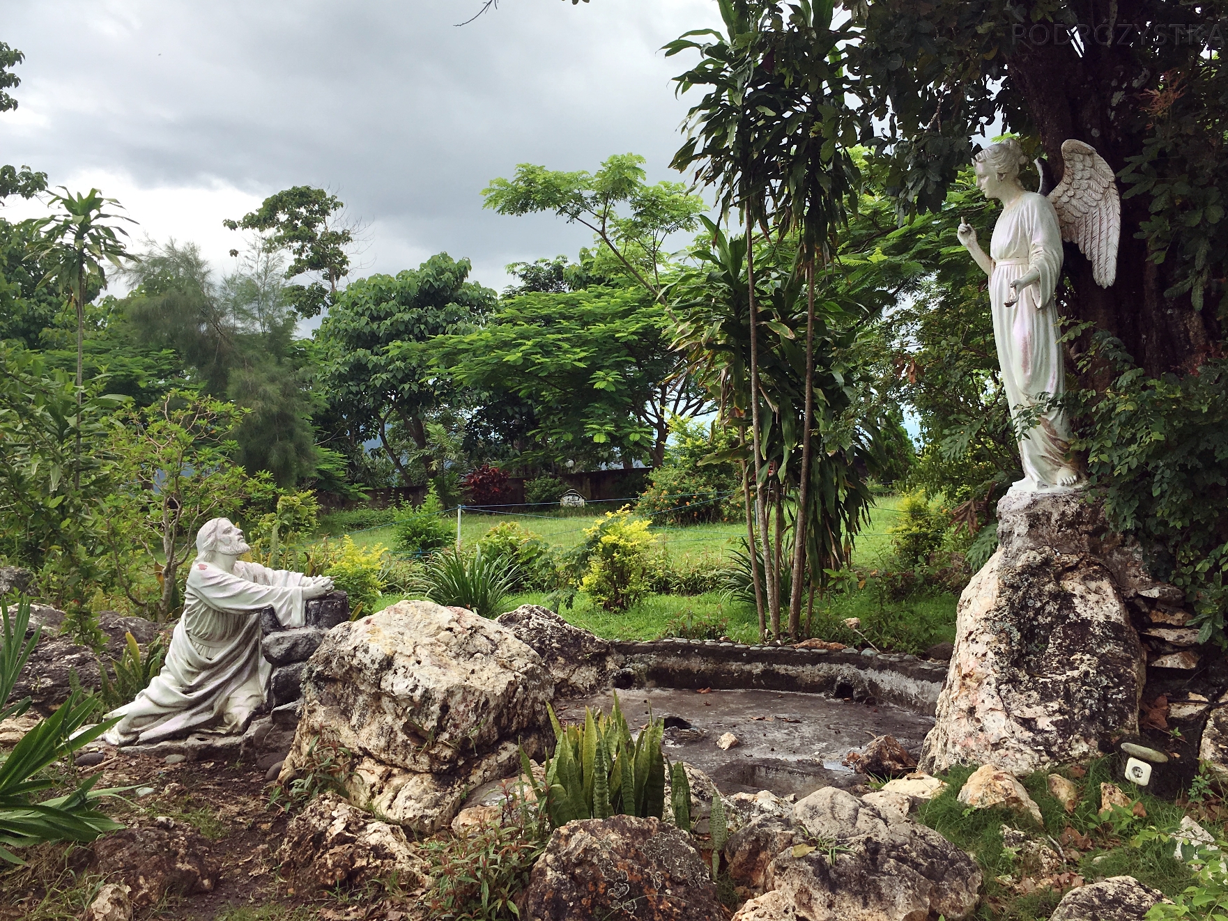 Flores_II_10_50_size_watermark