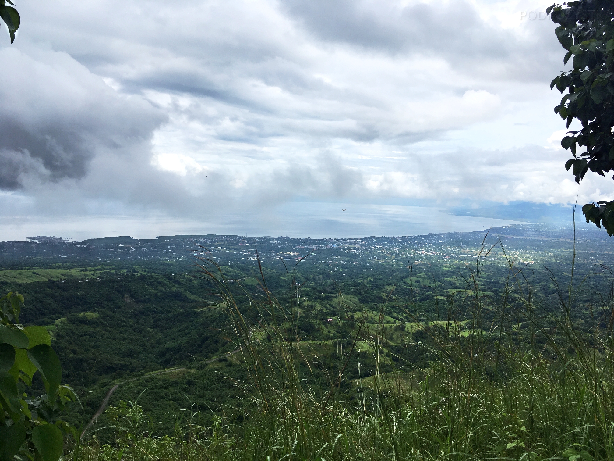 Flores_II_11_50_size_watermark