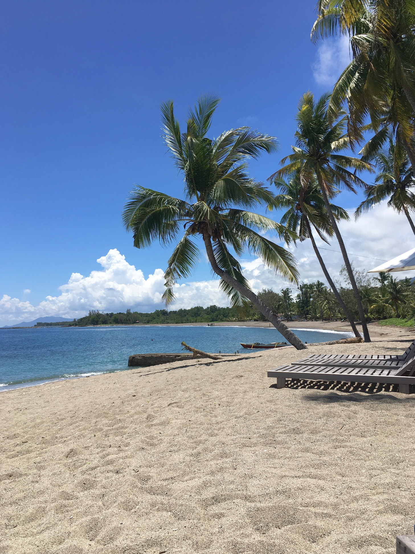 Flores_II_15_50_size_watermark