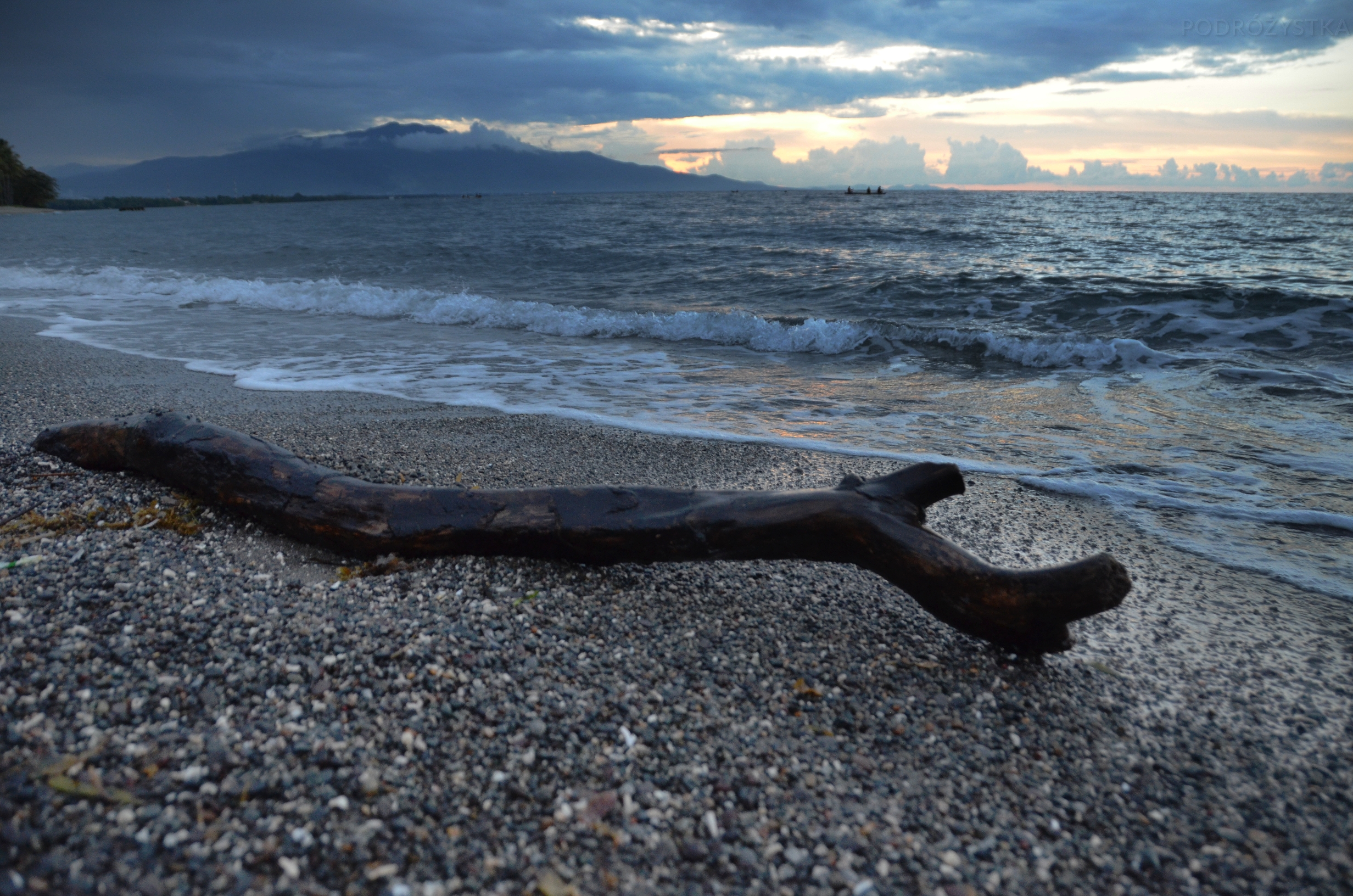 Flores_II_16_50_size_watermark