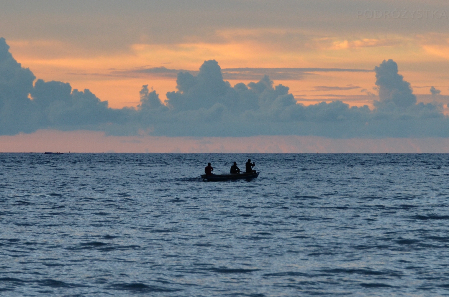 Flores_II_17_50_size_watermark