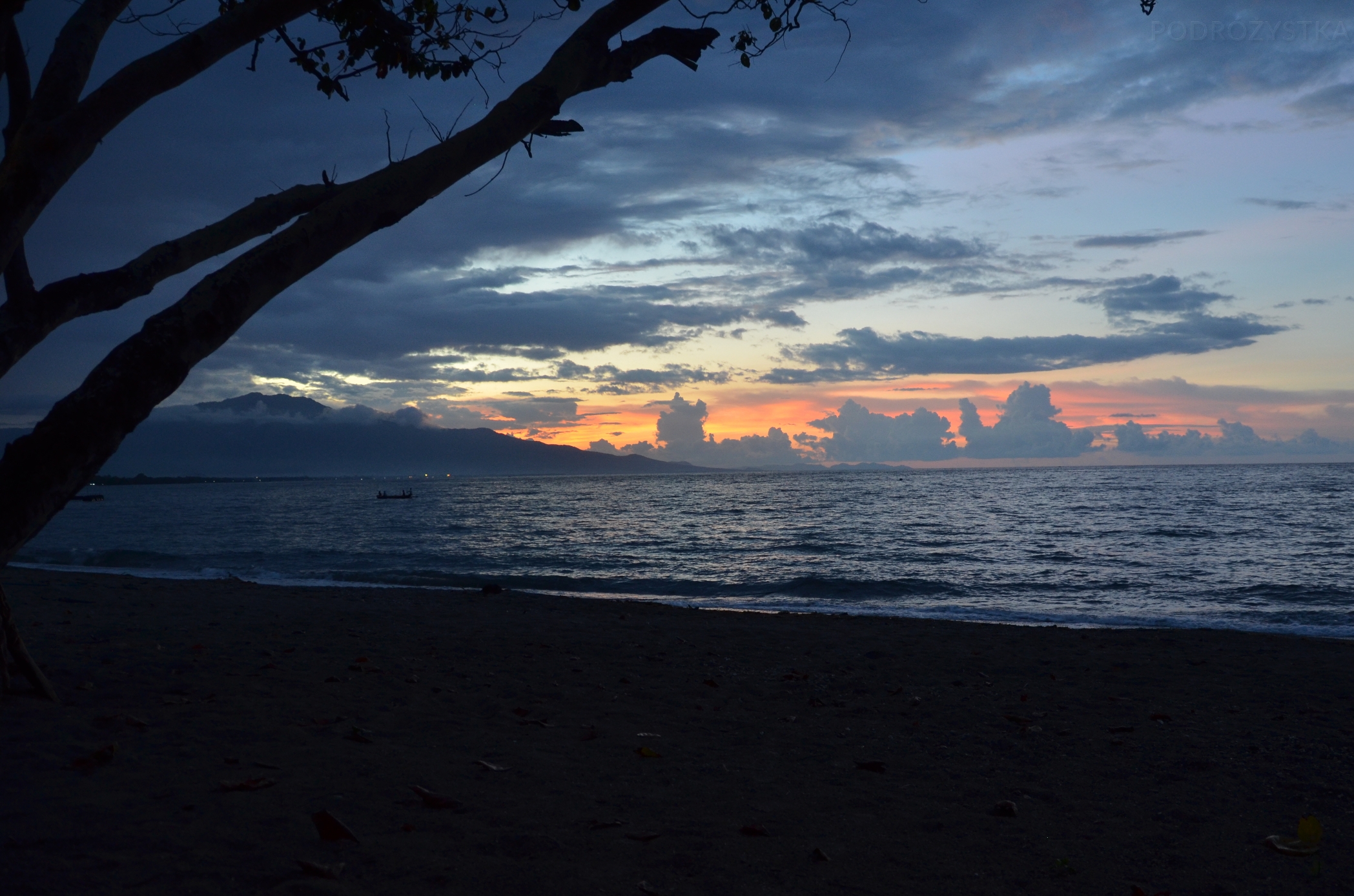 Flores_II_18_50_size_watermark