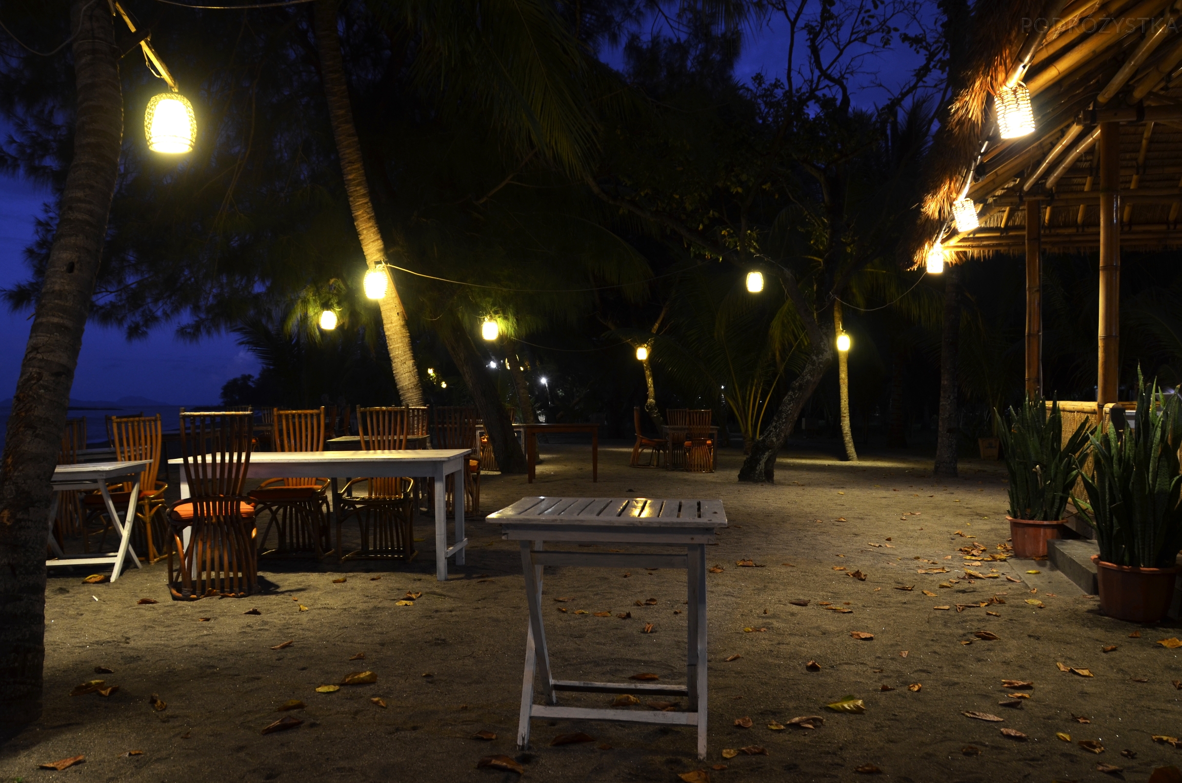 Flores_II_19_50_size_watermark