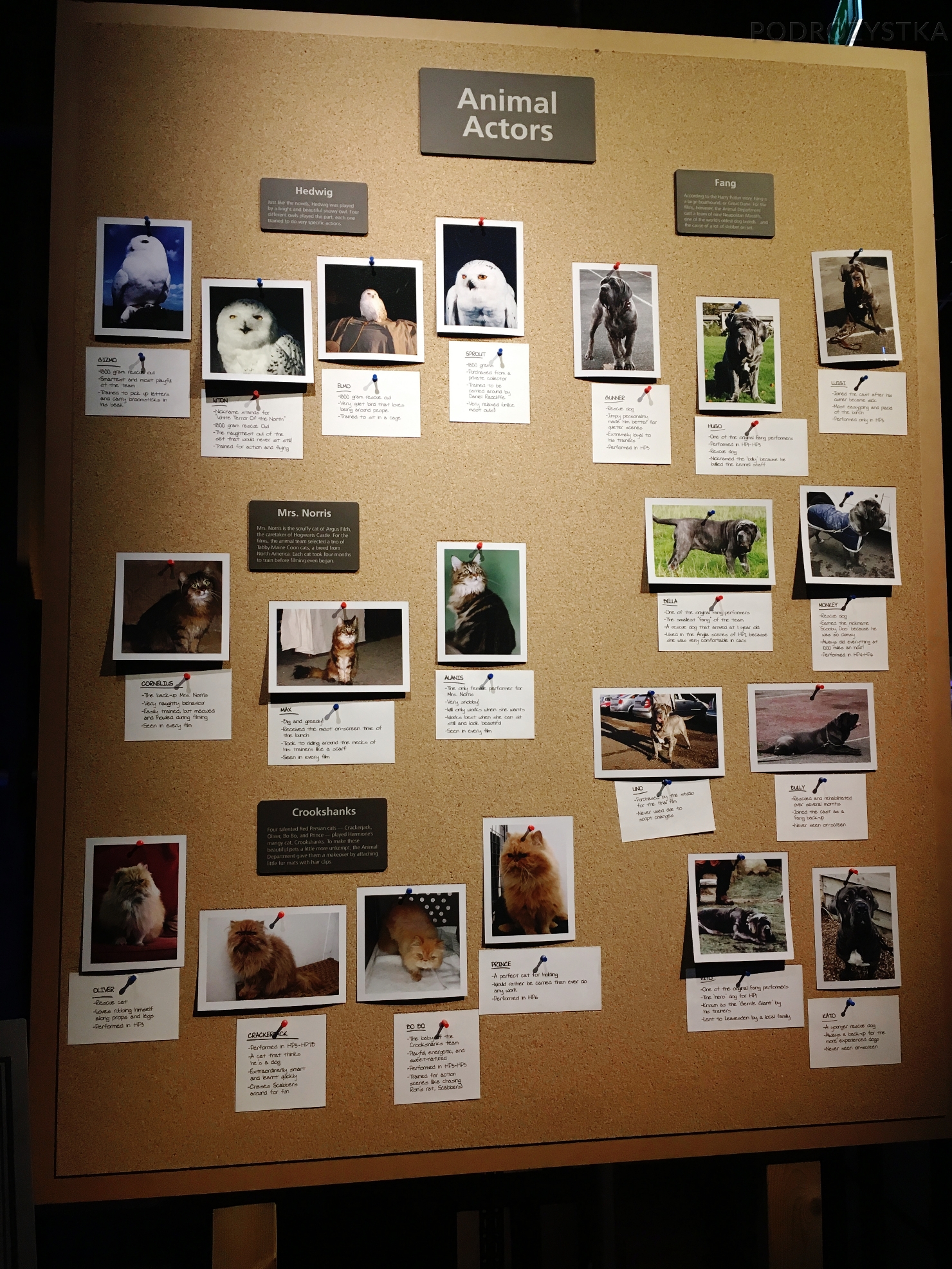 UK_II_28_50_size_watermark