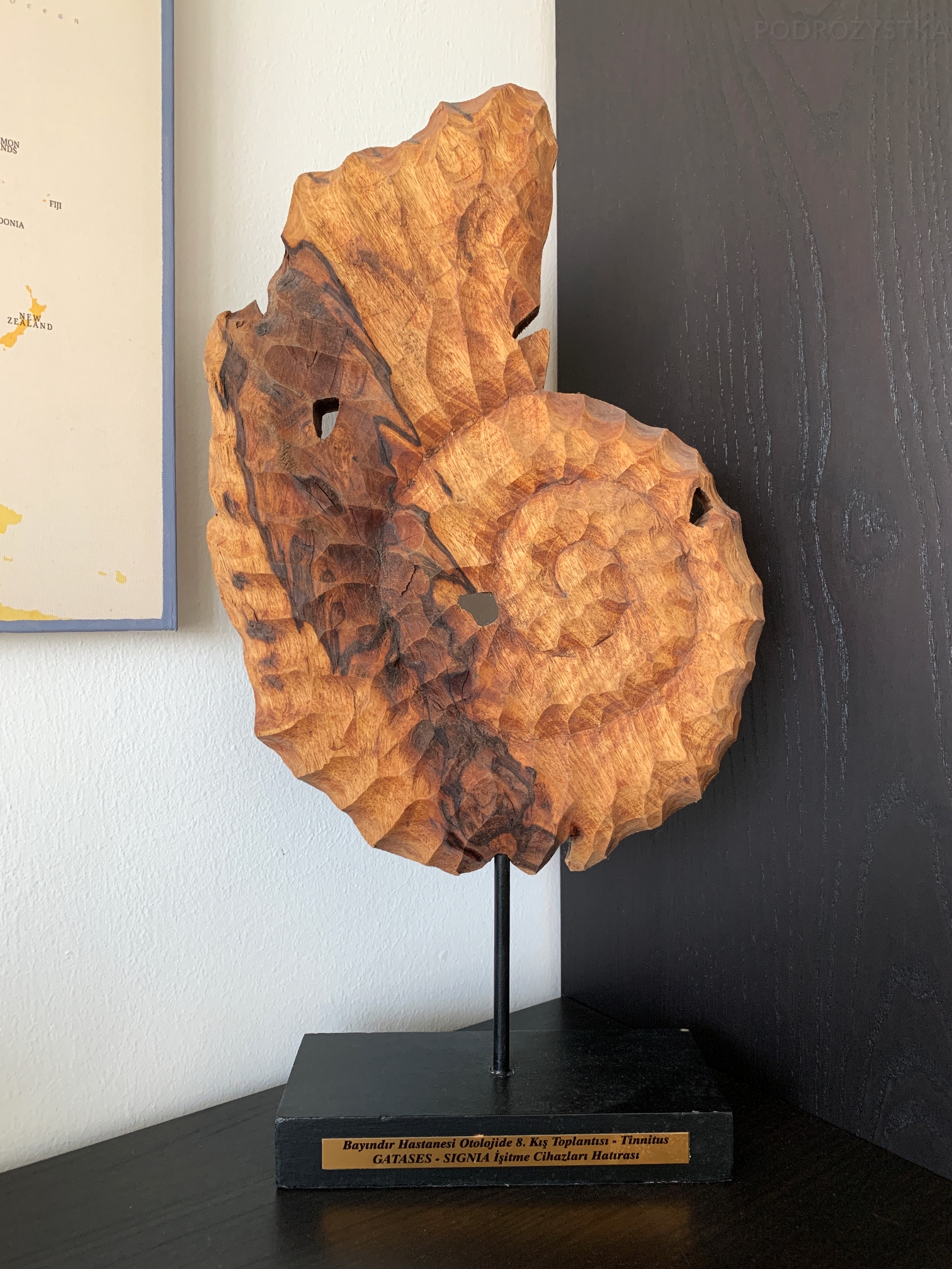 Ankara_25_50_size_watermark