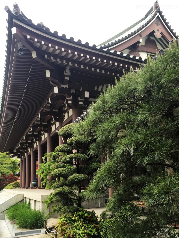 JP_I_04_50_size_watermark