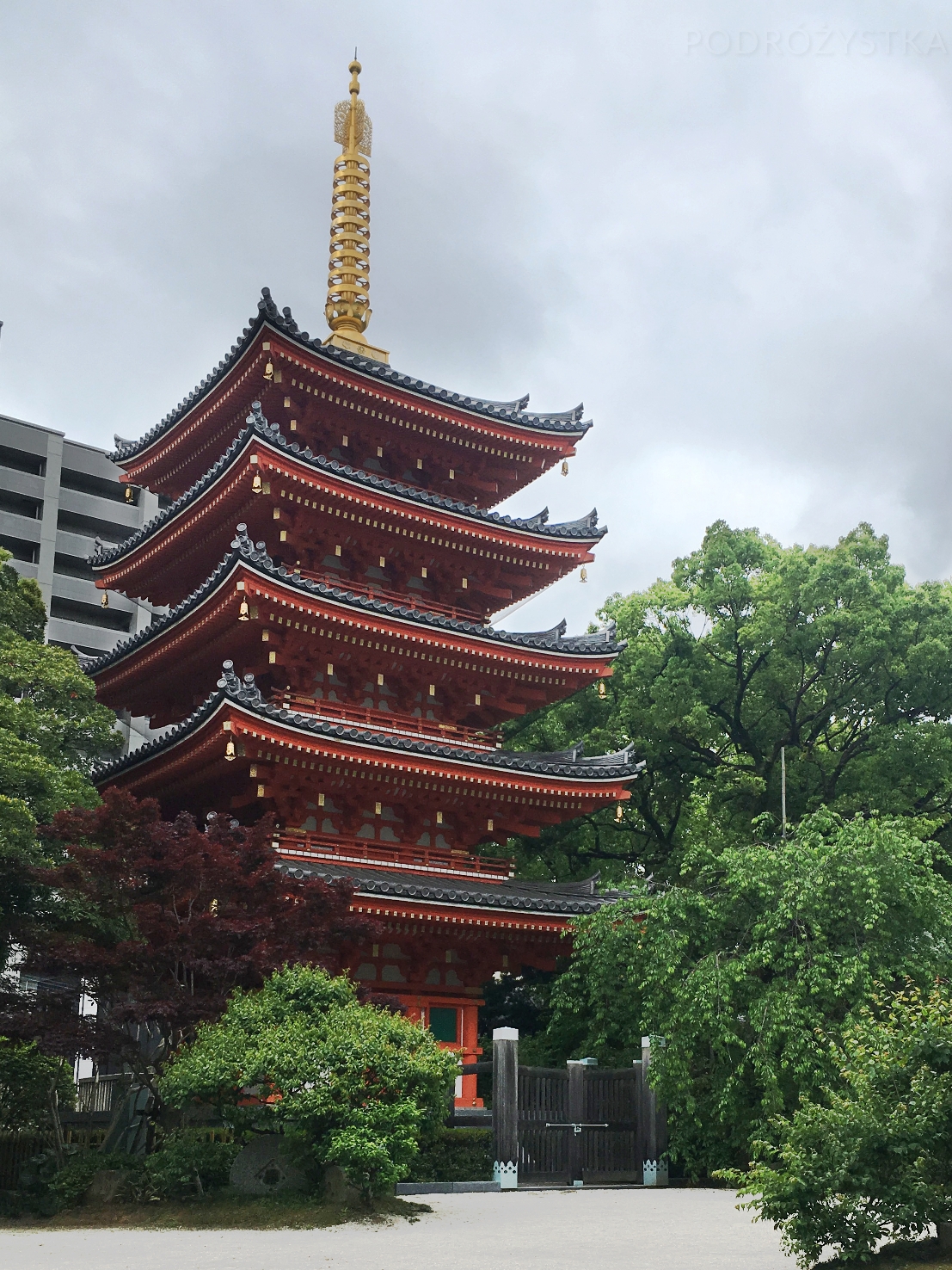 JP_I_05_50_size_watermark