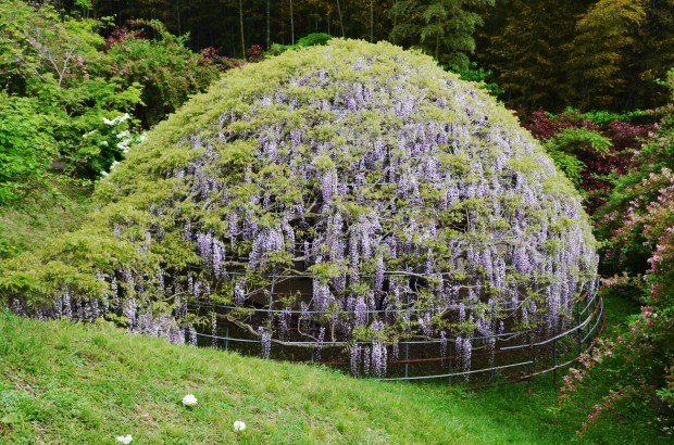 JP_I_09_50_size_watermark