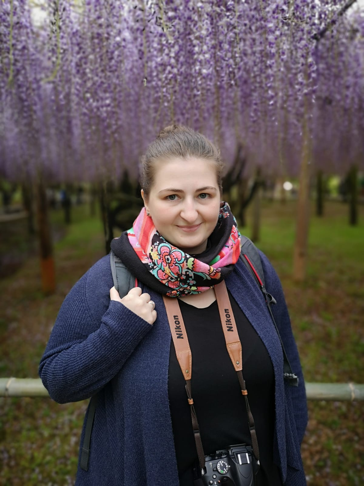 JP_I_11_50_size_watermark