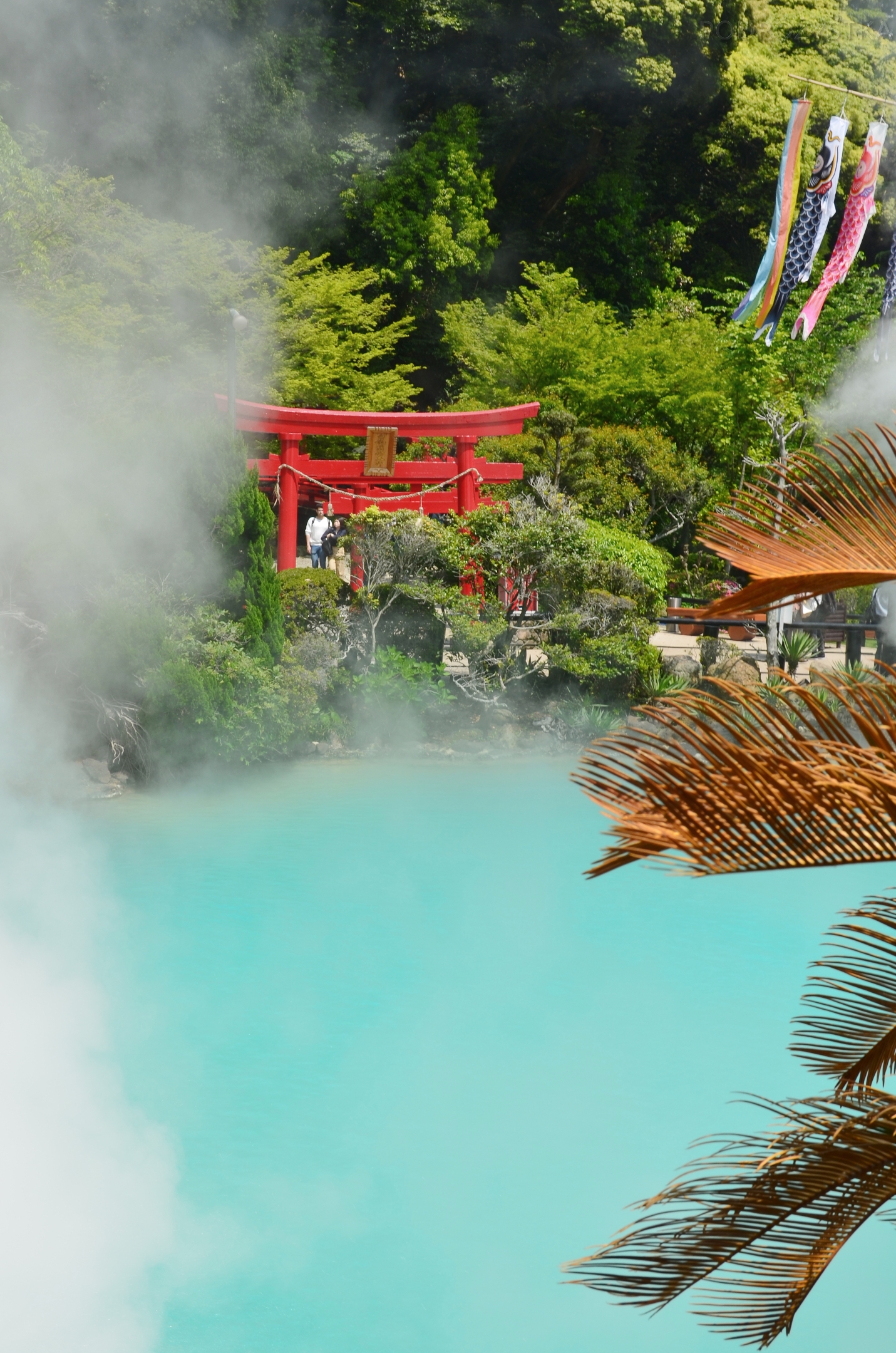 JP_II_06_50_size_watermark