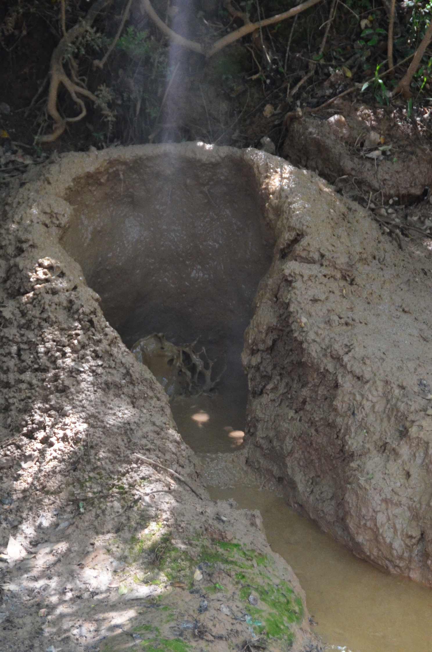 JP_II_09_50_size_watermark