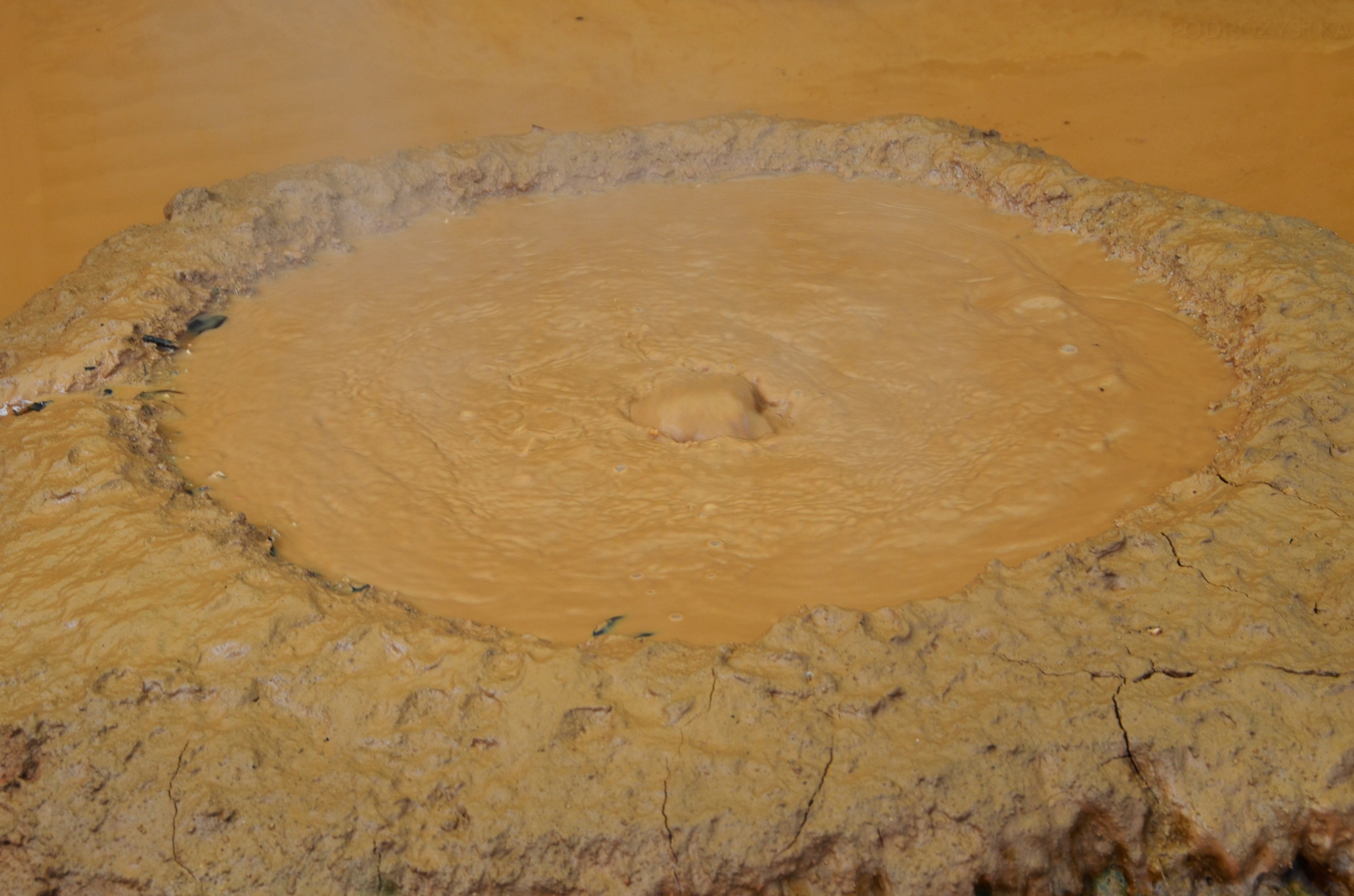 JP_II_11_50_size_watermark