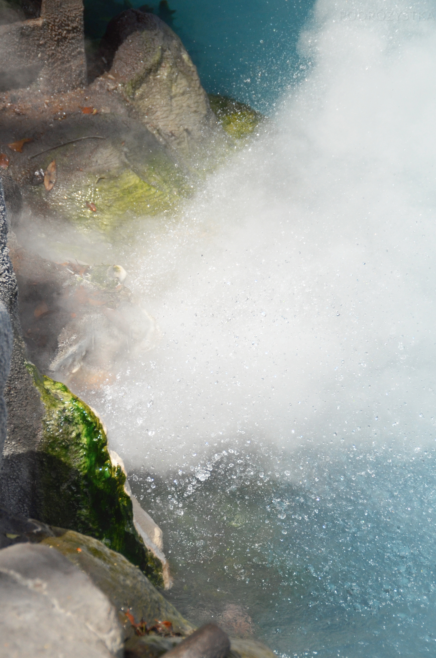 JP_II_12_50_size_watermark