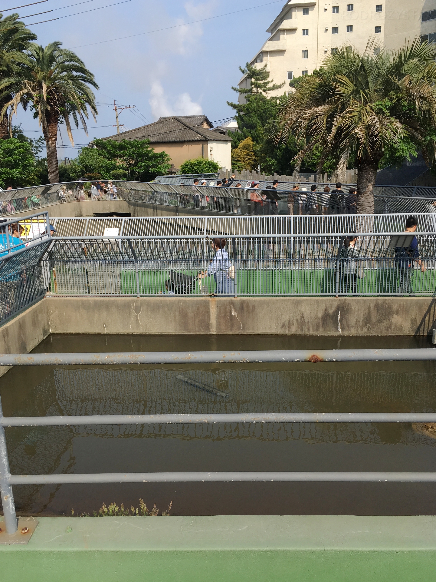 JP_II_17_50_size_watermark