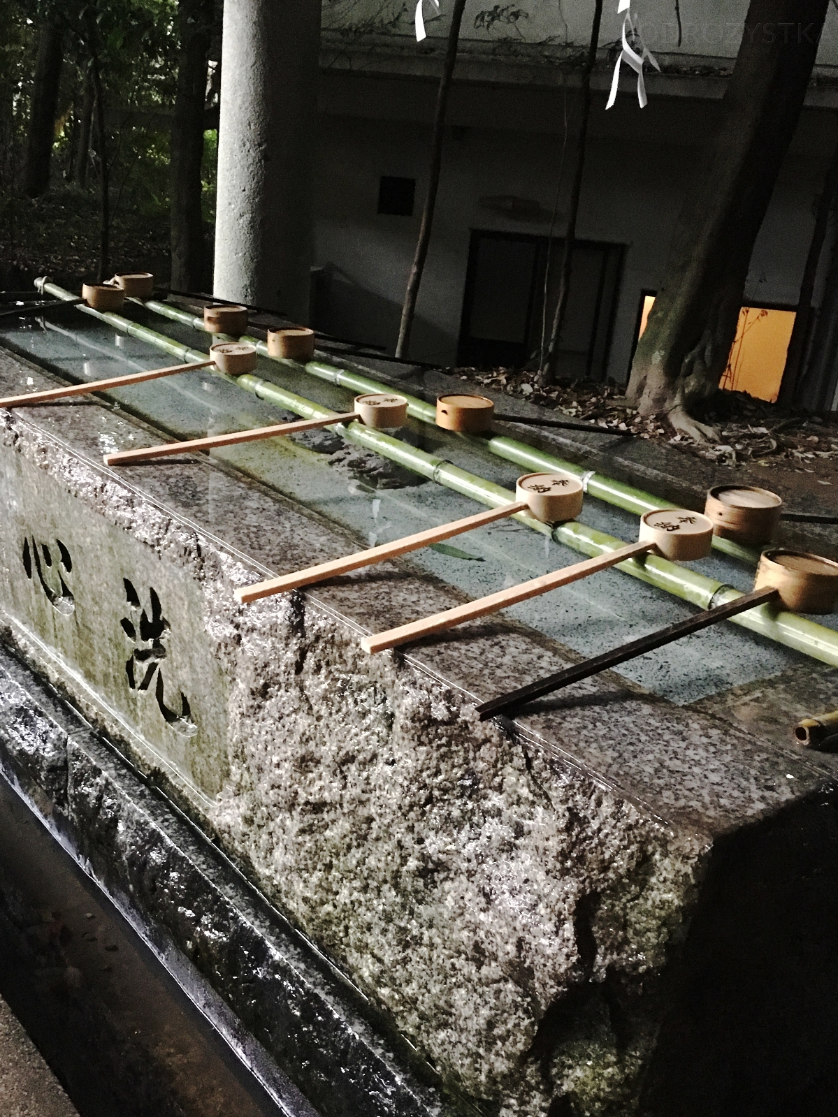 JP_III_11_50_size_watermark