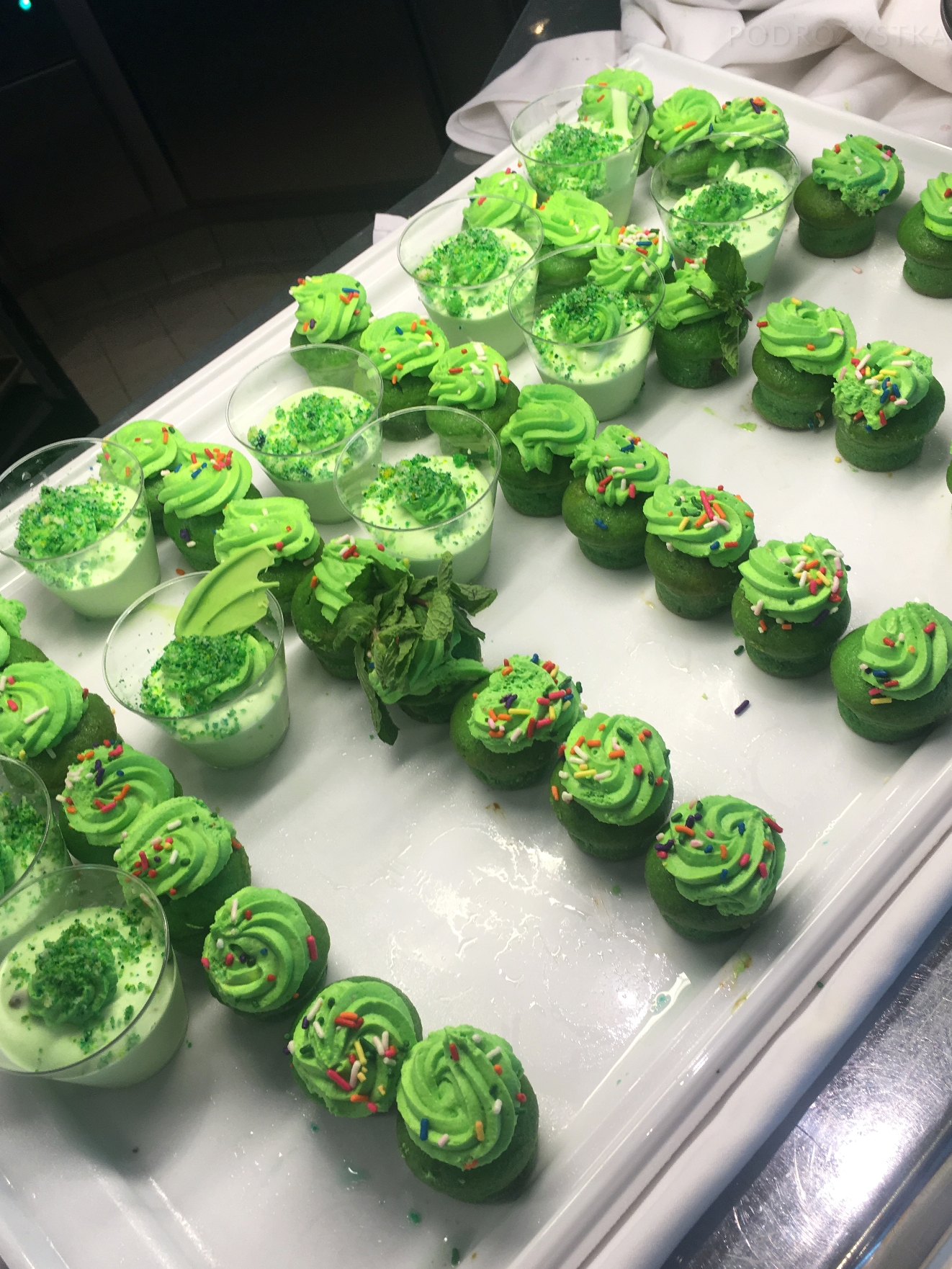 rejs_I_13_50_size_watermark