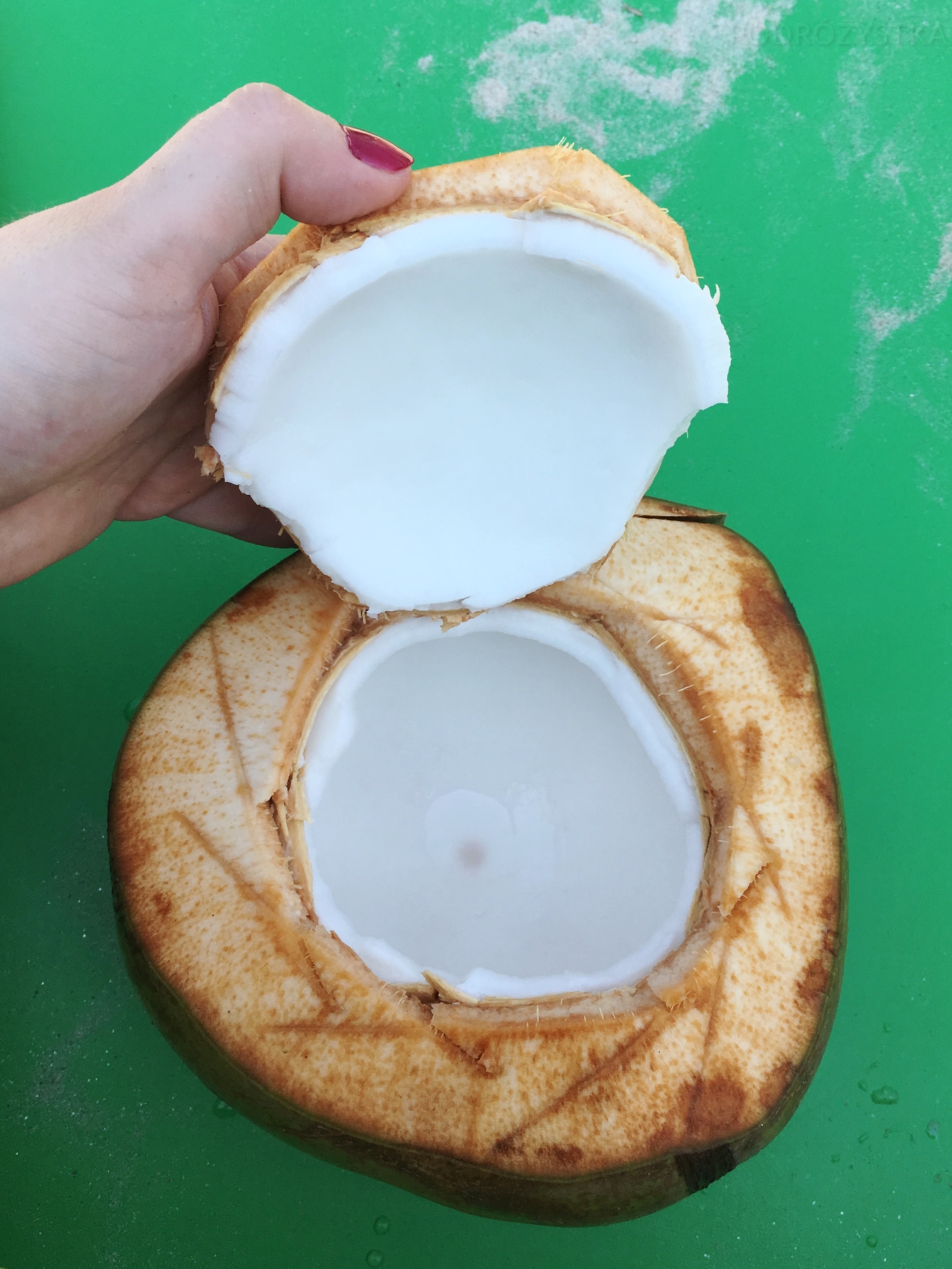 rejs_II_16_50_size_watermark