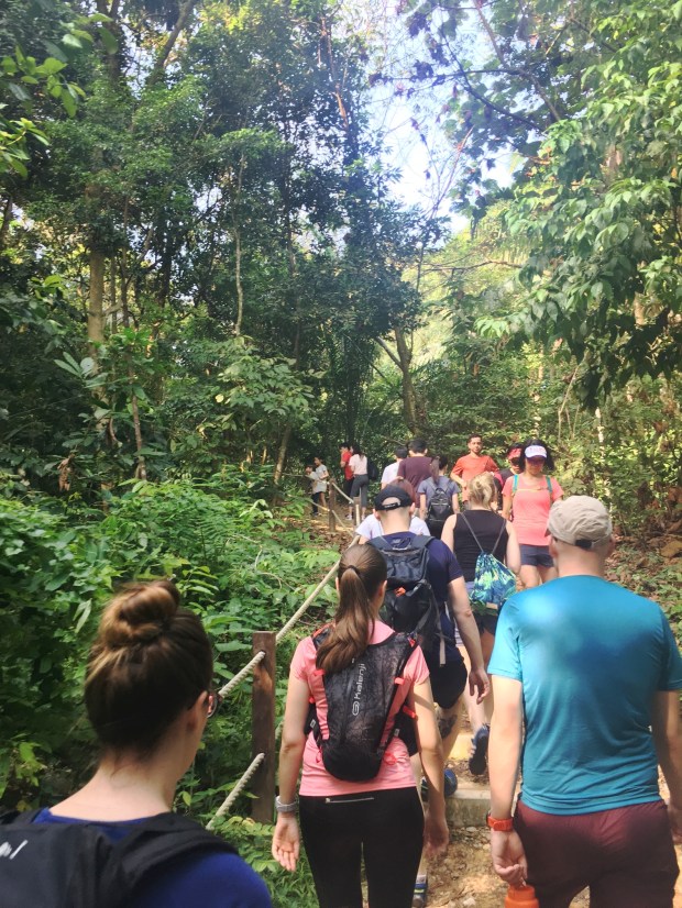 TreeTop_Walk_02_50_size_watermark