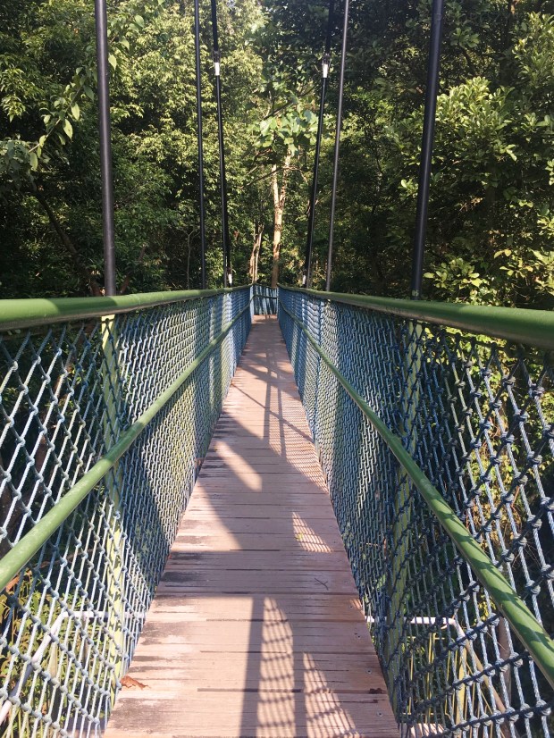 TreeTop_Walk_08_50_size_watermark